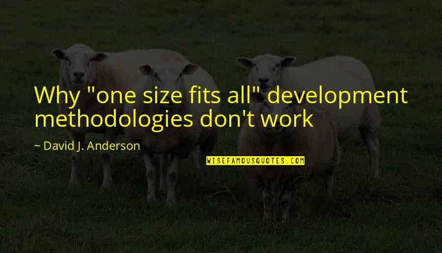 Nazuki Chan Quotes By David J. Anderson: Why "one size fits all" development methodologies don't