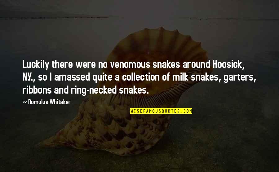 N'bushe Quotes By Romulus Whitaker: Luckily there were no venomous snakes around Hoosick,