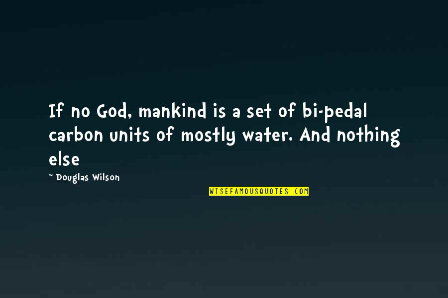 Ncosfm Quotes By Douglas Wilson: If no God, mankind is a set of Ncosfm Quotes By Douglas Wilson: If no God, mankind is a set of