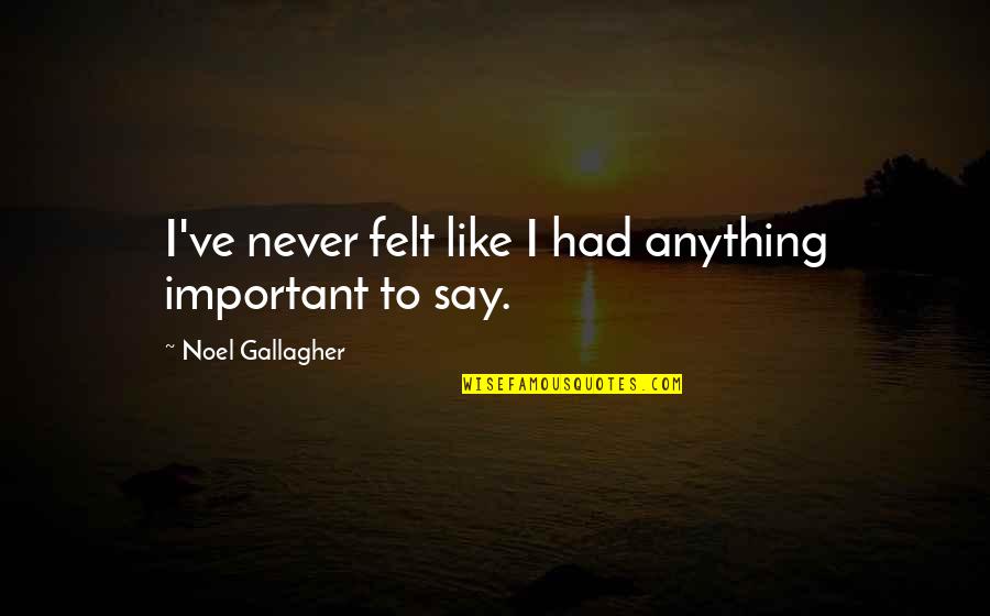 Ndiritu Plumber Quotes By Noel Gallagher: I've never felt like I had anything important Ndiritu Plumber Quotes By Noel Gallagher: I've never felt like I had anything important