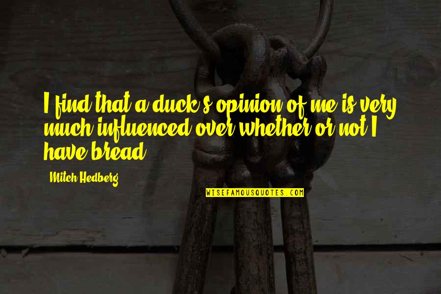 Ndt Funny Quotes By Mitch Hedberg: I find that a duck's opinion of me