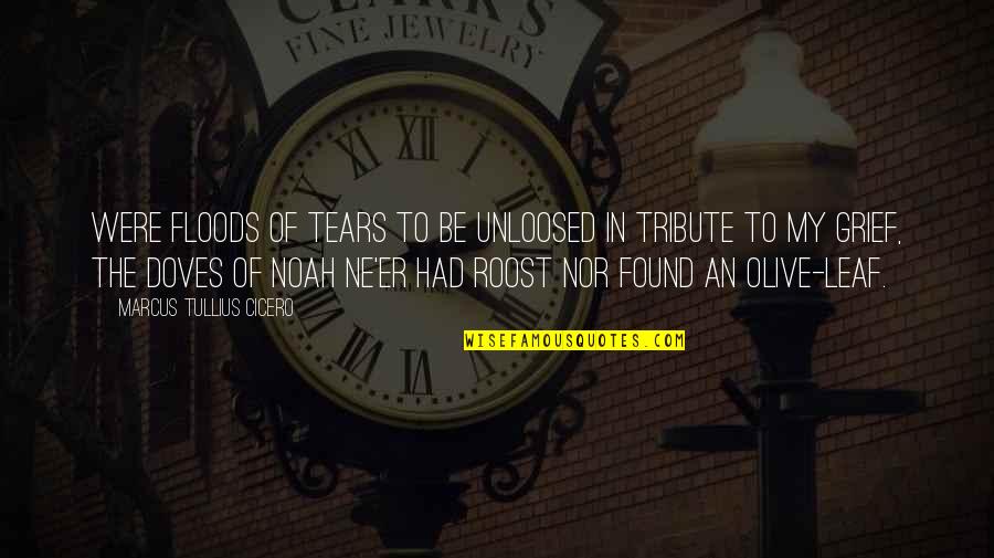 Ne Quotes By Marcus Tullius Cicero: Were floods of tears to be unloosed In