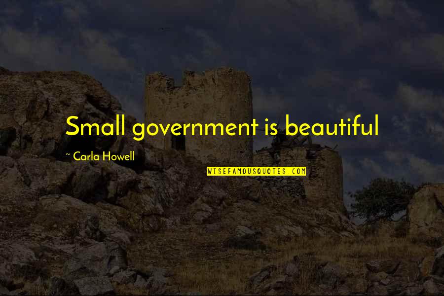 Neal A Maxwell Temple Quotes By Carla Howell: Small government is beautiful
