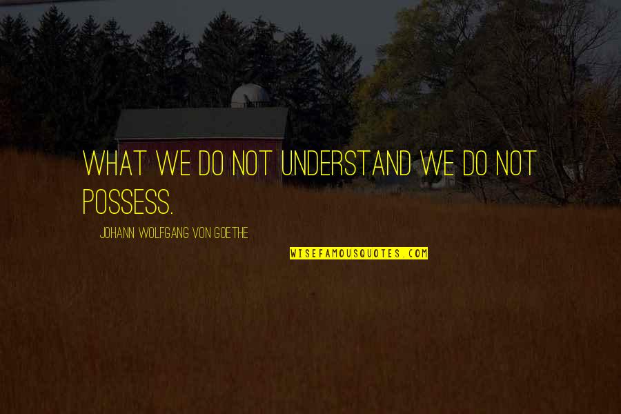 Neal Dow Quotes By Johann Wolfgang Von Goethe: What we do not understand we do not