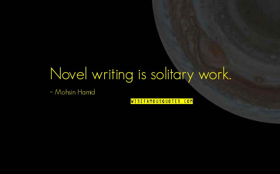 Neal Stephenson Anathem Quotes By Mohsin Hamid: Novel writing is solitary work.