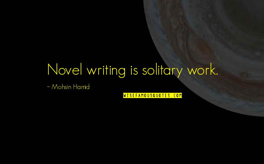 Neal Stephenson Anathem Quotes By Mohsin Hamid: Novel writing is solitary work. Neal Stephenson Anathem Quotes By Mohsin Hamid: Novel writing is solitary work.