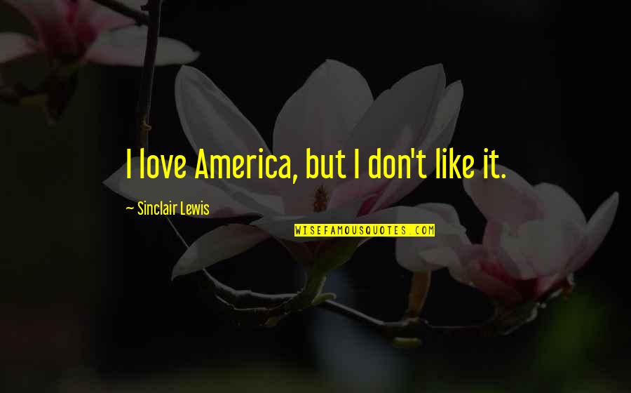 Nealay Quotes By Sinclair Lewis: I love America, but I don't like it. Nealay Quotes By Sinclair Lewis: I love America, but I don't like it.