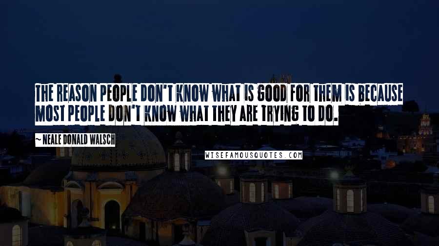 Neale Donald Walsch quotes: The reason people don't know what is good for them is because most people don't know what they are trying to do.