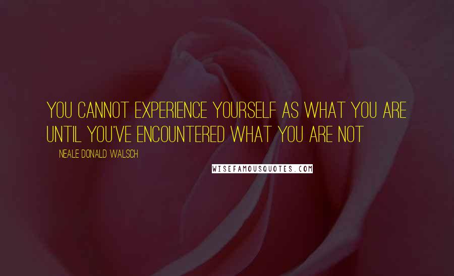 Neale Donald Walsch quotes: You cannot experience yourself as what you are until you've encountered what you are not