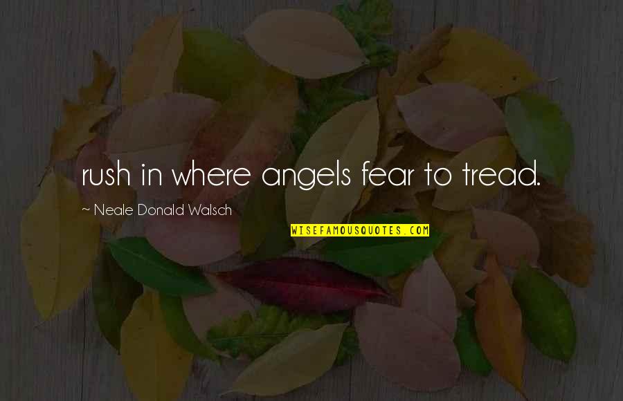 Neale Quotes By Neale Donald Walsch: rush in where angels fear to tread.