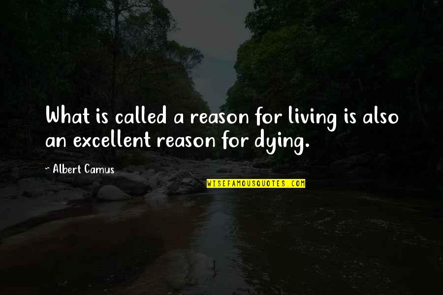 Near V Minnesota Quotes By Albert Camus: What is called a reason for living is