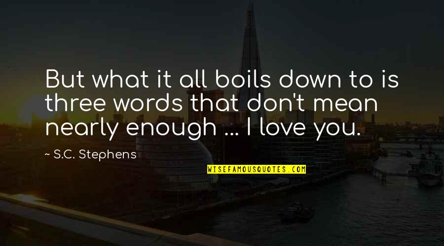 Nearly Love Quotes By S.C. Stephens: But what it all boils down to is