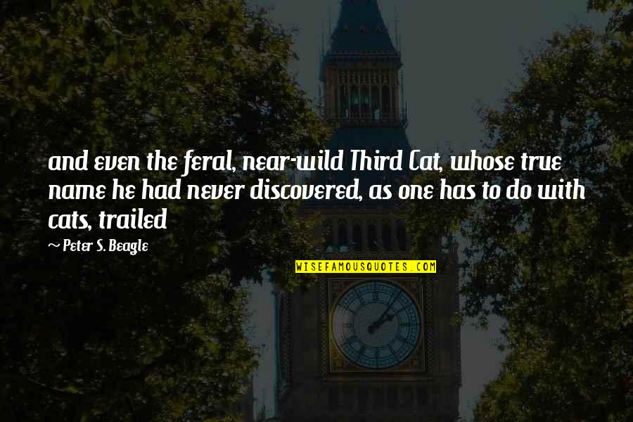 Near's Quotes By Peter S. Beagle: and even the feral, near-wild Third Cat, whose