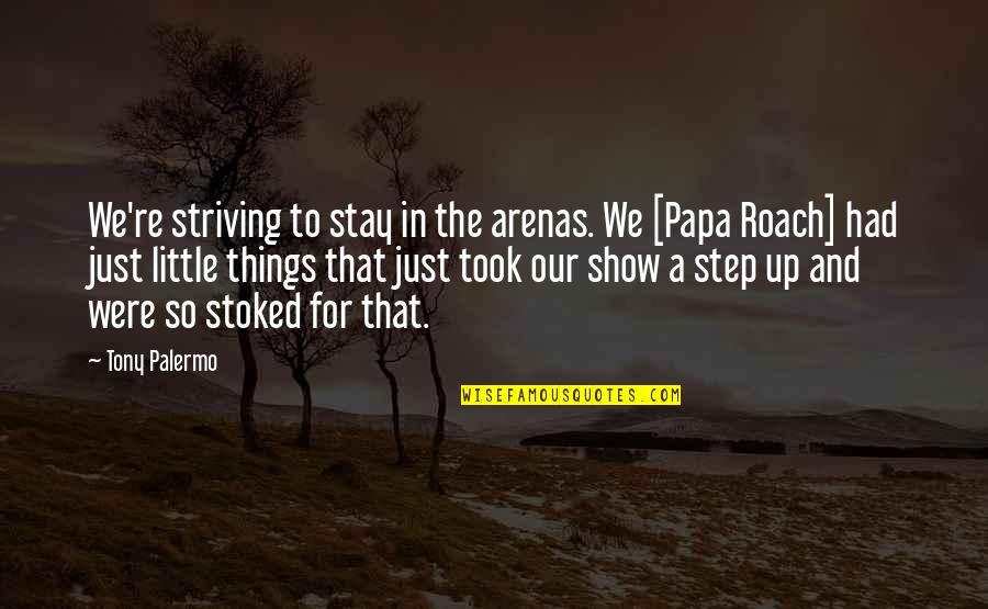 Neat Christmas Quotes By Tony Palermo: We're striving to stay in the arenas. We