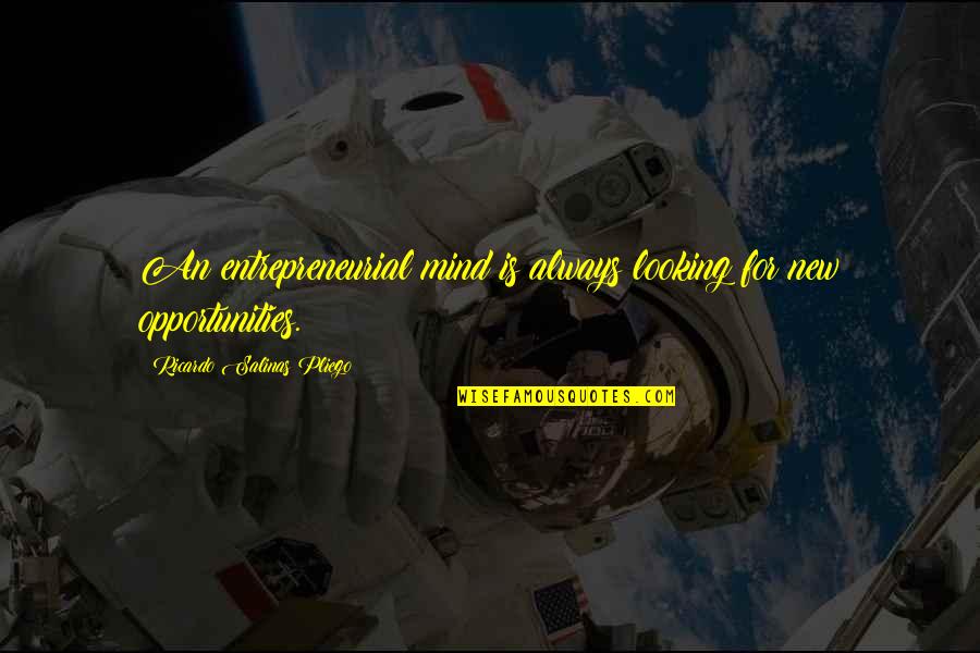 Neater Scooper Quotes By Ricardo Salinas Pliego: An entrepreneurial mind is always looking for new Neater Scooper Quotes By Ricardo Salinas Pliego: An entrepreneurial mind is always looking for new