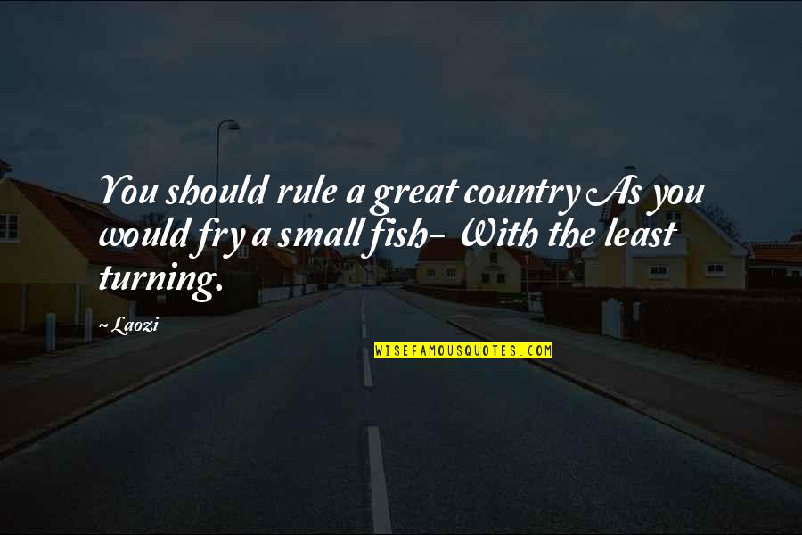Neaves Island Quotes By Laozi: You should rule a great country As you