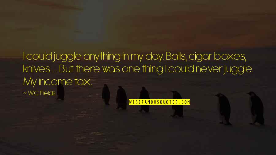 Nebeske Trube Quotes By W.C. Fields: I could juggle anything in my day. Balls,