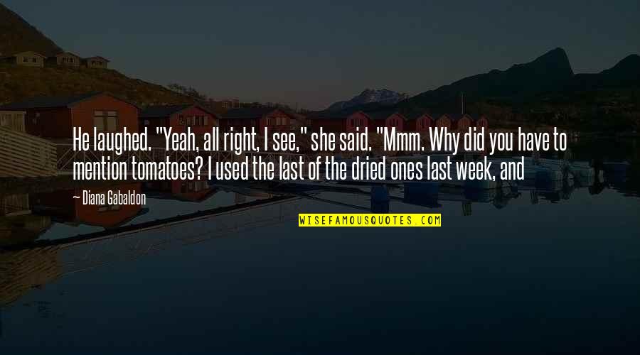 Nebudem Quotes By Diana Gabaldon: He laughed. "Yeah, all right, I see," she Nebudem Quotes By Diana Gabaldon: He laughed. "Yeah, all right, I see," she