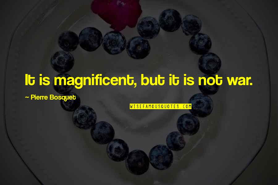 Necessaries Of Life Quotes By Pierre Bosquet: It is magnificent, but it is not war. Necessaries Of Life Quotes By Pierre Bosquet: It is magnificent, but it is not war.