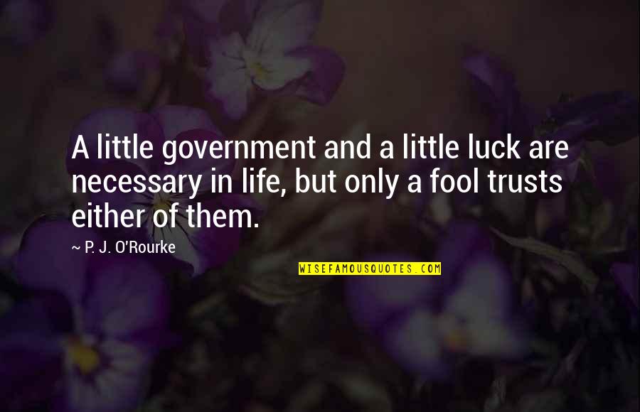 Necessary Government Quotes By P. J. O'Rourke: A little government and a little luck are