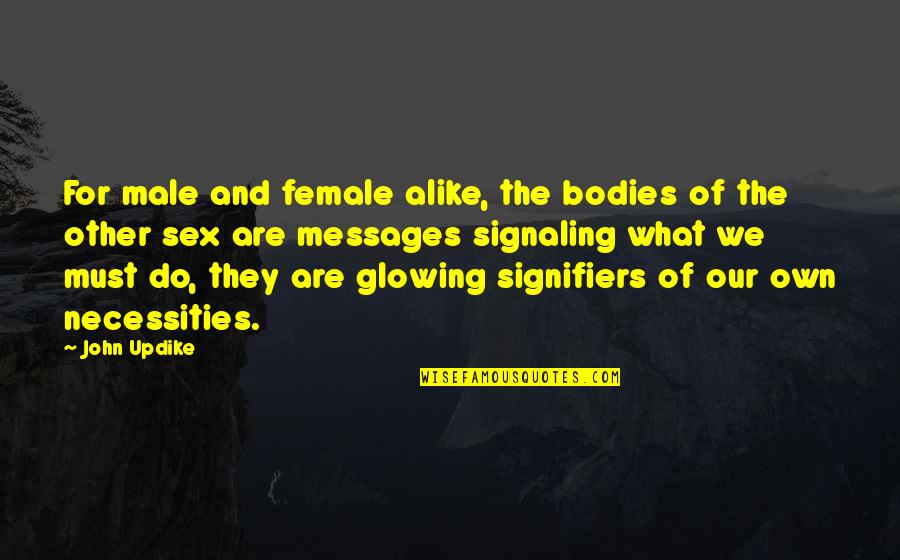Necessities Quotes By John Updike: For male and female alike, the bodies of Necessities Quotes By John Updike: For male and female alike, the bodies of