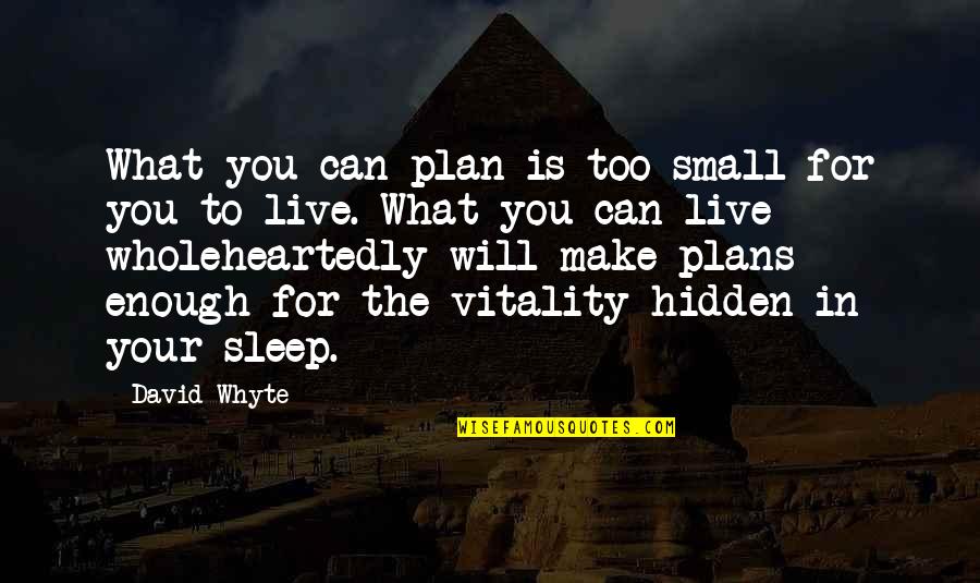 Nechal By Si Quotes By David Whyte: What you can plan is too small for