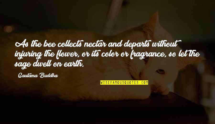 Nectar Quotes By Gautama Buddha: As the bee collects nectar and departs without