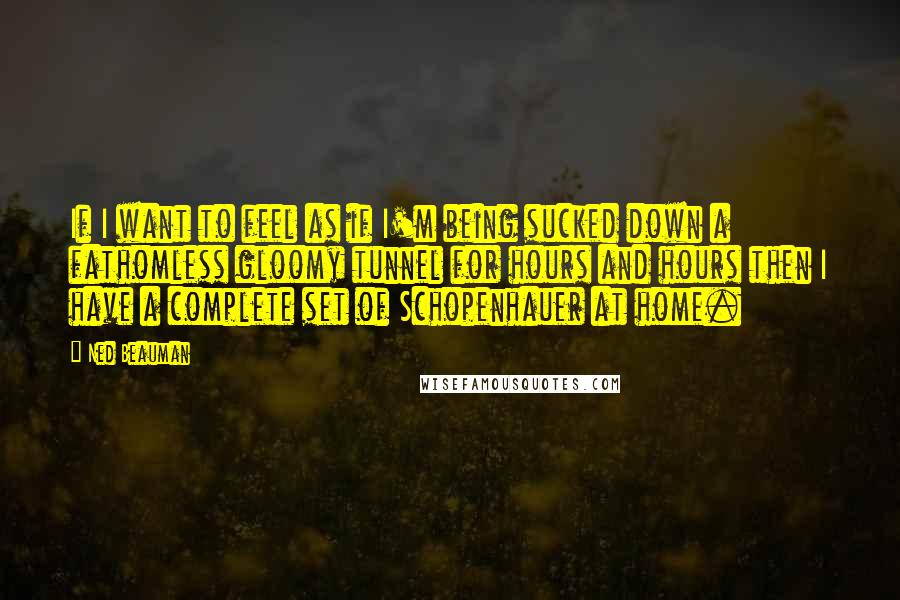 Ned Beauman quotes: If I want to feel as if I'm being sucked down a fathomless gloomy tunnel for hours and hours then I have a complete set of Schopenhauer at home. Ned Beauman quotes: If I want to feel as if I'm being sucked down a fathomless gloomy tunnel for hours and hours then I have a complete set of Schopenhauer at home.