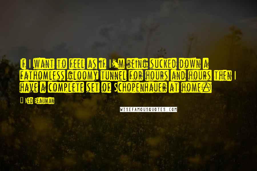 Ned Beauman quotes: If I want to feel as if I'm being sucked down a fathomless gloomy tunnel for hours and hours then I have a complete set of Schopenhauer at home.