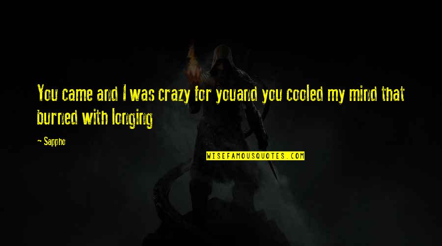 Ned Gerblansky Quotes By Sappho: You came and I was crazy for youand