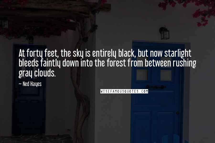 Ned Hayes quotes: At forty feet, the sky is entirely black, but now starlight bleeds faintly down into the forest from between rushing gray clouds. Ned Hayes quotes: At forty feet, the sky is entirely black, but now starlight bleeds faintly down into the forest from between rushing gray clouds.
