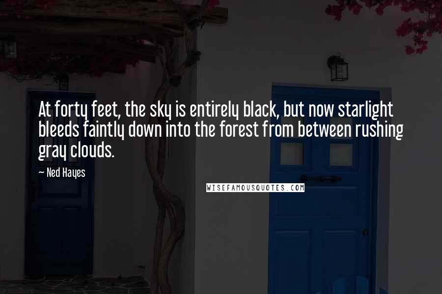 Ned Hayes quotes: At forty feet, the sky is entirely black, but now starlight bleeds faintly down into the forest from between rushing gray clouds.