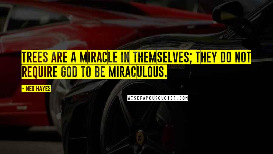 Ned Hayes quotes: Trees are a miracle in themselves; they do not require God to be miraculous.