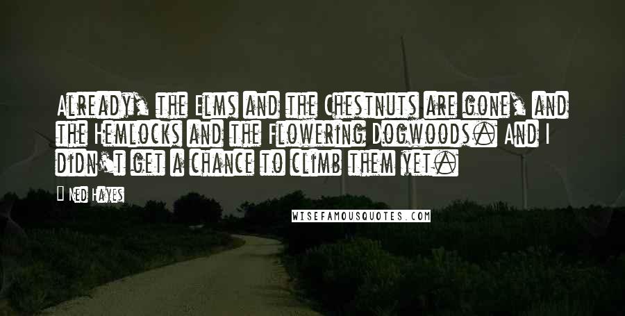 Ned Hayes quotes: Already, the Elms and the Chestnuts are gone, and the Hemlocks and the Flowering Dogwoods. And I didn't get a chance to climb them yet.
