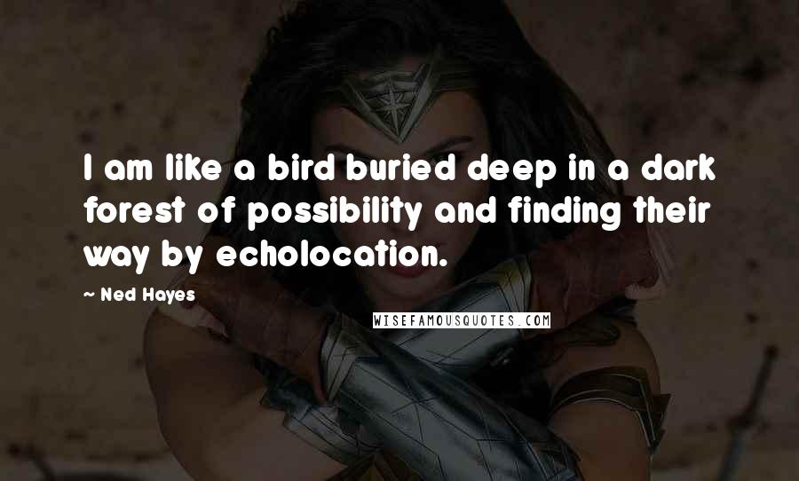 Ned Hayes quotes: I am like a bird buried deep in a dark forest of possibility and finding their way by echolocation.