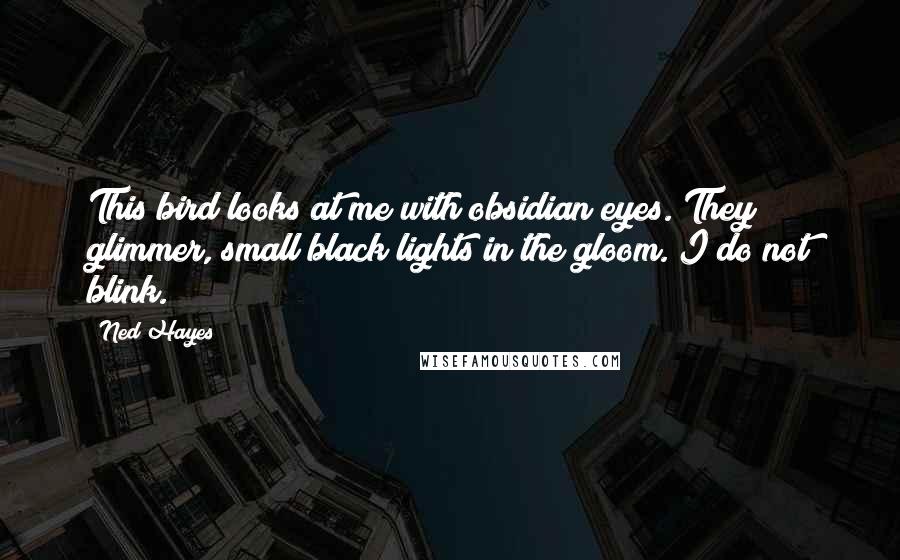 Ned Hayes quotes: This bird looks at me with obsidian eyes. They glimmer, small black lights in the gloom. I do not blink.