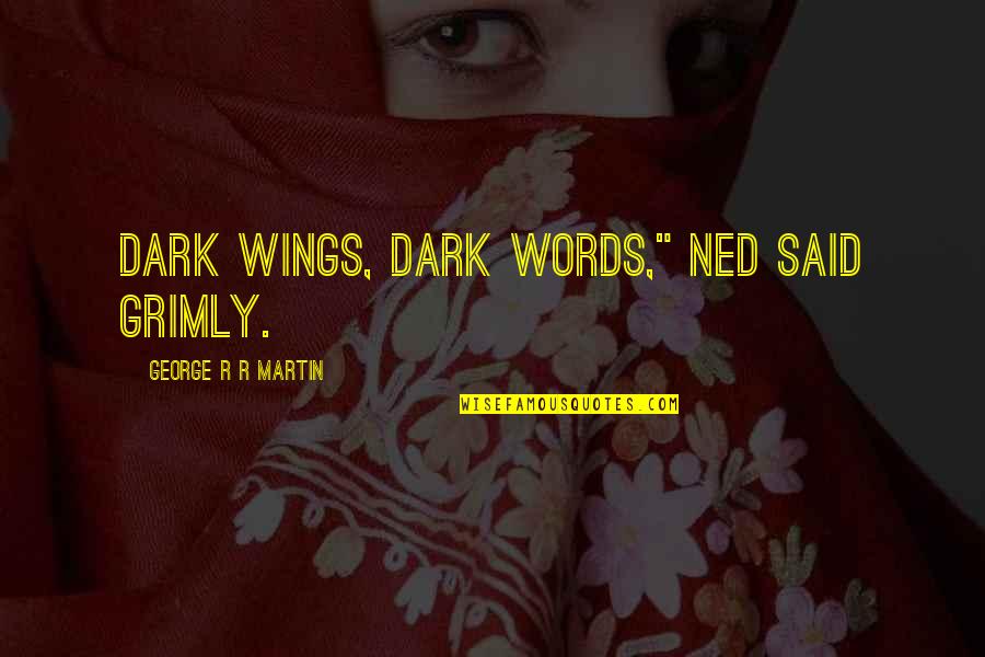 Ned Quotes By George R R Martin: Dark wings, dark words," Ned said grimly.