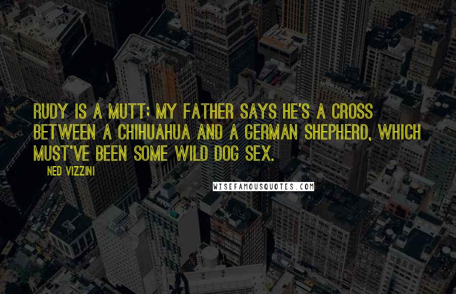 Ned Vizzini quotes: Rudy is a mutt; my father says he's a cross between a chihuahua and a German shepherd, which must've been some wild dog sex.