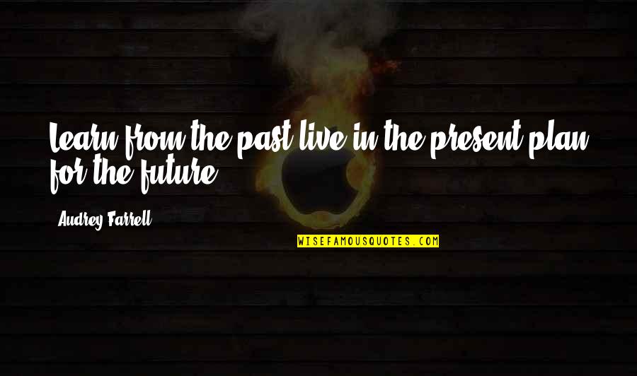 Neda Motivational Quotes By Audrey Farrell: Learn from the past live in the present