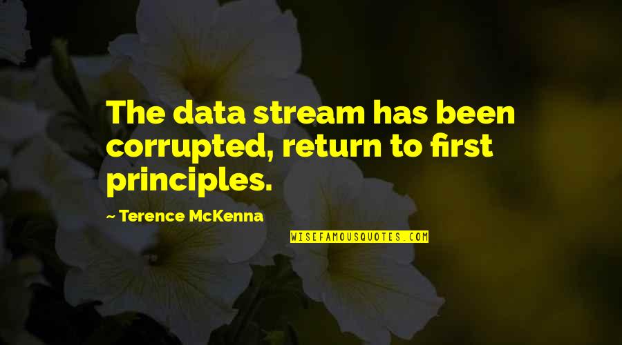 Neddy Quotes By Terence McKenna: The data stream has been corrupted, return to
