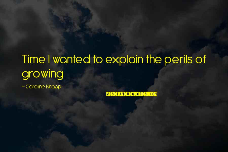 Nederlanden Coins Quotes By Caroline Knapp: Time I wanted to explain the perils of Nederlanden Coins Quotes By Caroline Knapp: Time I wanted to explain the perils of