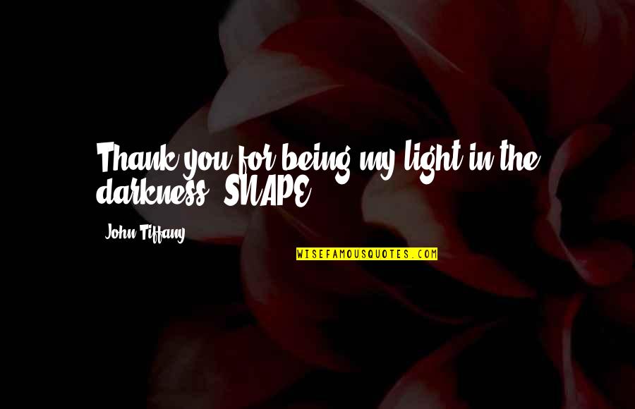 Nederlanden Coins Quotes By John Tiffany: Thank you for being my light in the