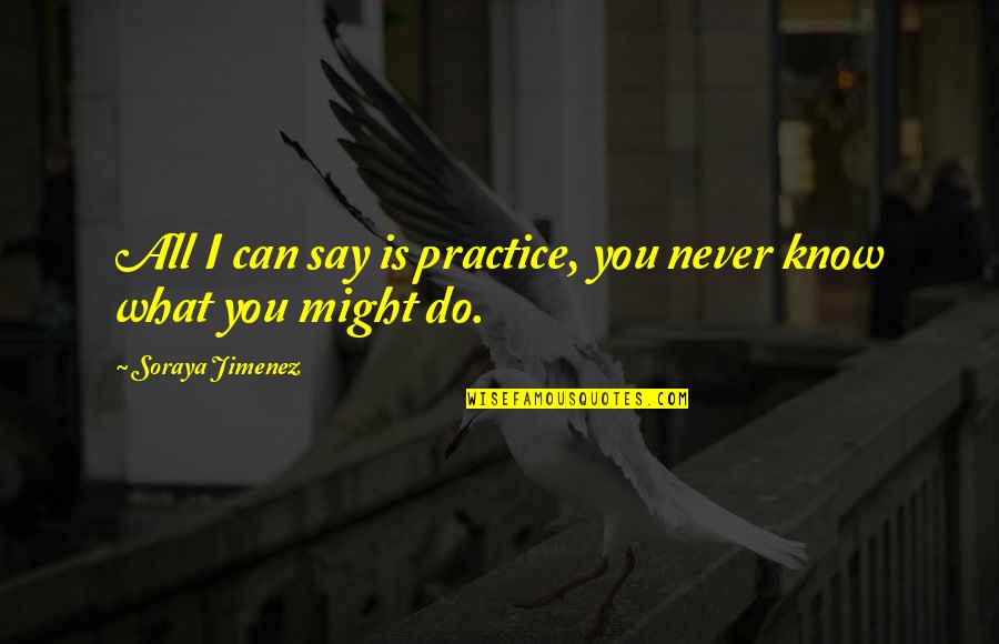 Nederlandse Films Quotes By Soraya Jimenez: All I can say is practice, you never