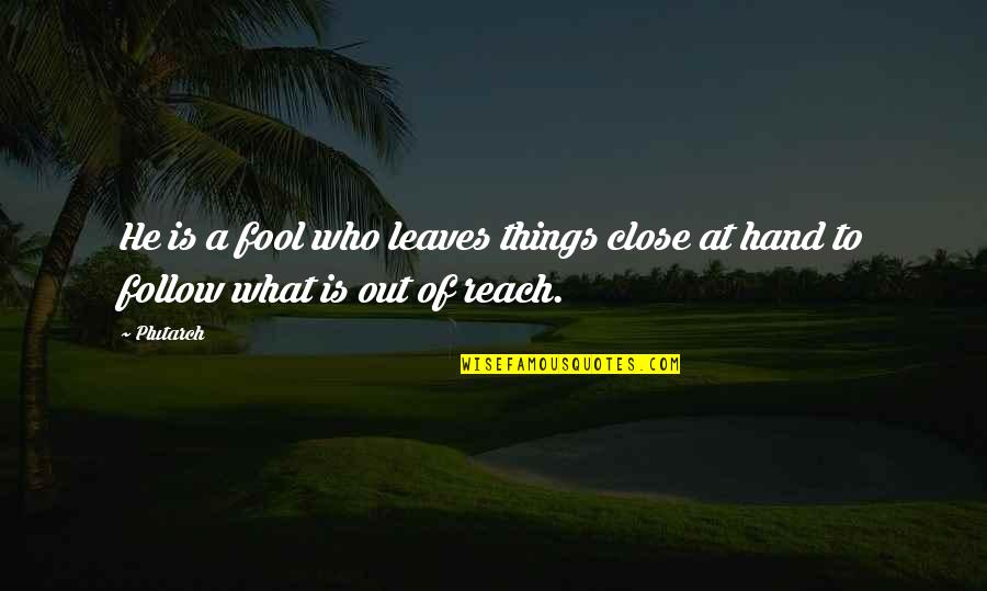 Nederlandse Songteksten Quotes By Plutarch: He is a fool who leaves things close