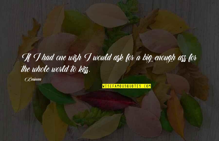 Nederlandse Zaken Quotes By Eminem: If I had one wish I would ask