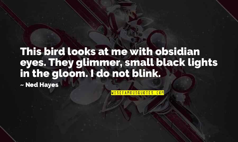 Ned's Quotes By Ned Hayes: This bird looks at me with obsidian eyes.