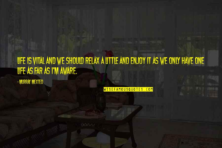 Nedzad Latic Quotes By Murray Mexted: Life is vital and we should relax a Nedzad Latic Quotes By Murray Mexted: Life is vital and we should relax a