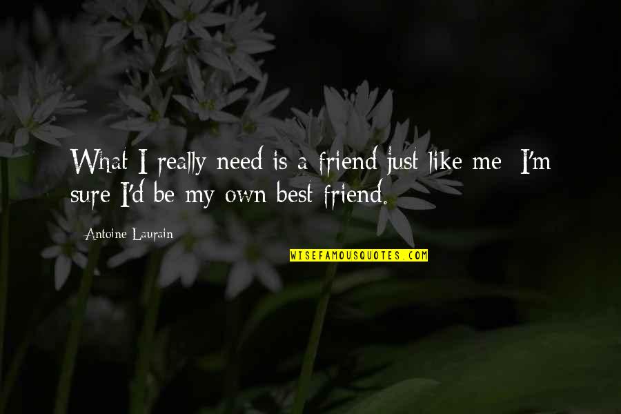 Need A Best Friend Quotes By Antoine Laurain: What I really need is a friend just