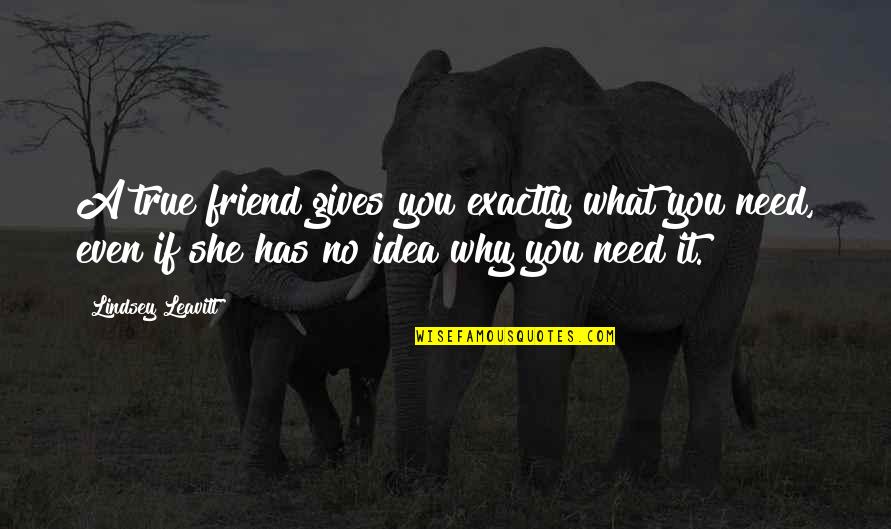 Need A Friend Quotes By Lindsey Leavitt: A true friend gives you exactly what you