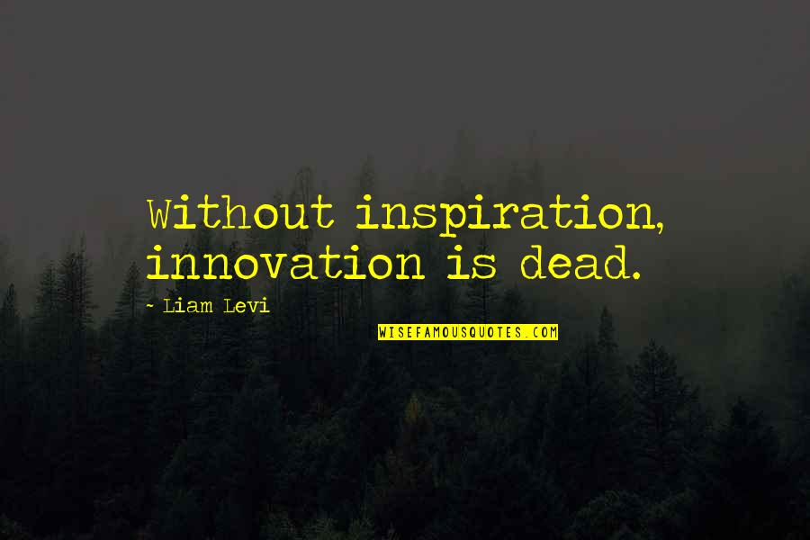 Need Another Vacation Quotes By Liam Levi: Without inspiration, innovation is dead.